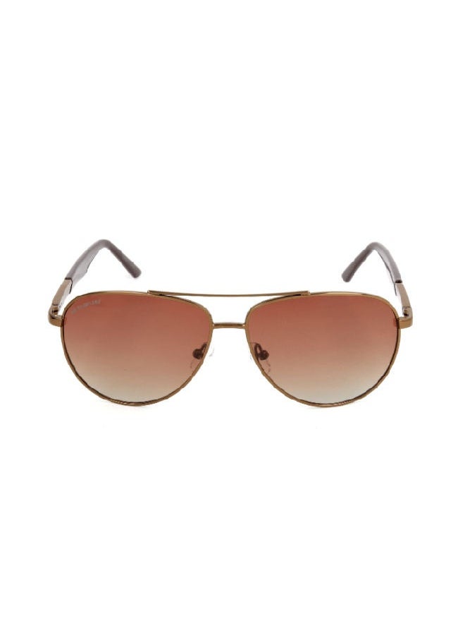 Columbia Aviator Sunglasses - Lens Size: 60mm  - Image 1
