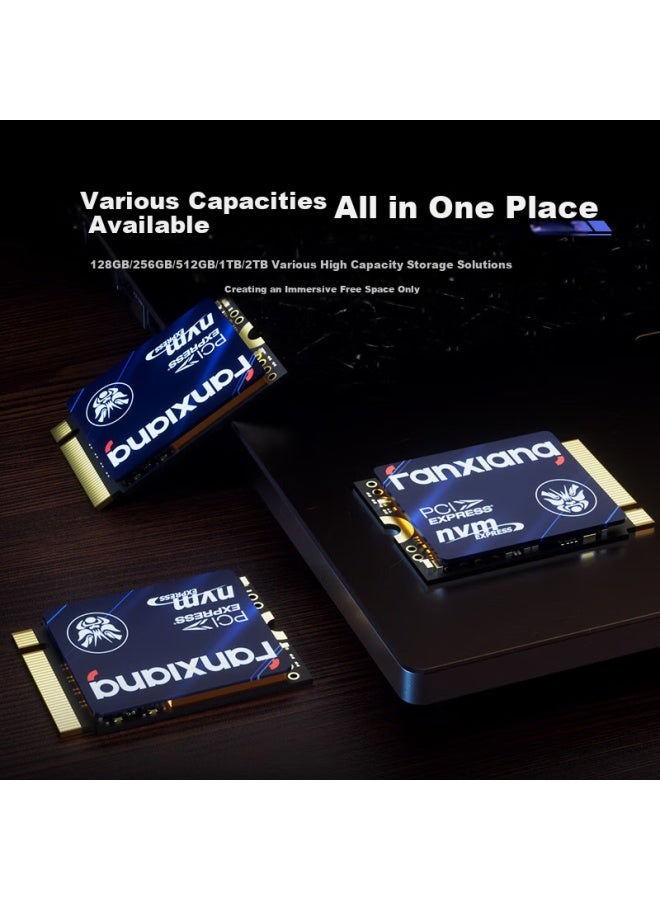 fanxiang فانشيانغ 1 تيرابايت SSD M.2 NVMe PCIe 3.0 2230 وحدة تخزين صغيرة للألعاب S532 - Image 5