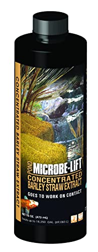 Microbe Lift MICROBE-LIFT MLCBSE500 Concentrated Barley Straw Extract Conditioner for Ponds and Outdoor Water Garden, Safe for Live Koi Fish, Plants, and Decorations, 16 Ounces - Image 1