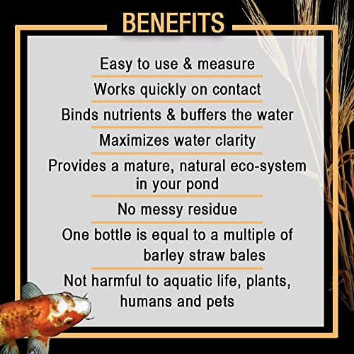 Microbe Lift MICROBE-LIFT MLCBSE500 Concentrated Barley Straw Extract Conditioner for Ponds and Outdoor Water Garden, Safe for Live Koi Fish, Plants, and Decorations, 16 Ounces - Image 3