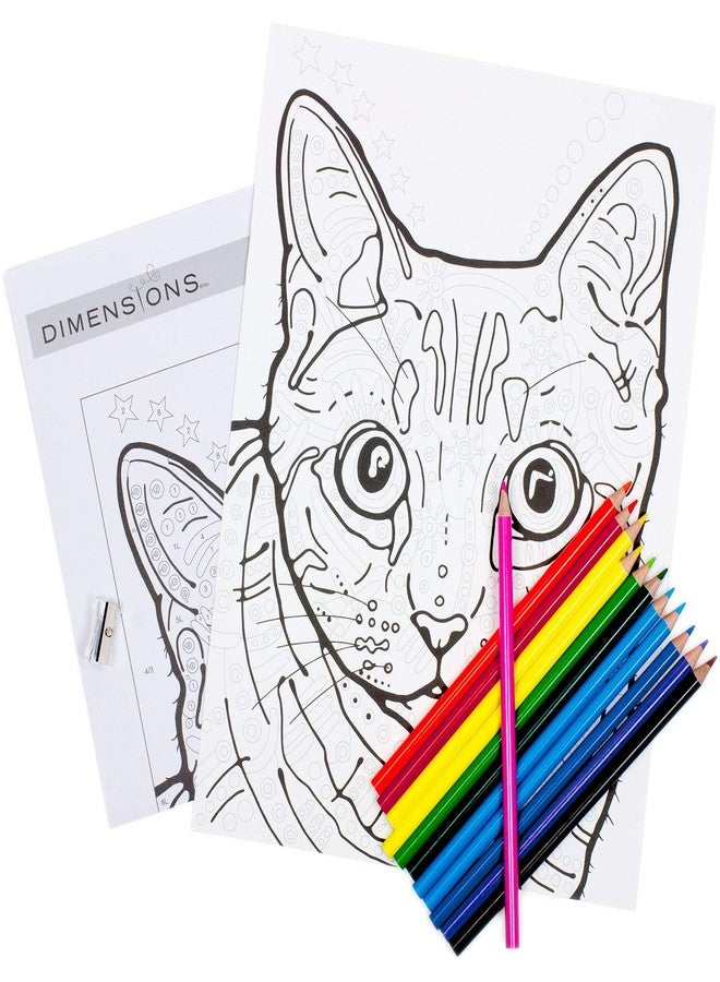 Dimensions Cat, PencilWorks Color by Numbers Kit for Adults and Kids, 9'' x 12' - Image 3