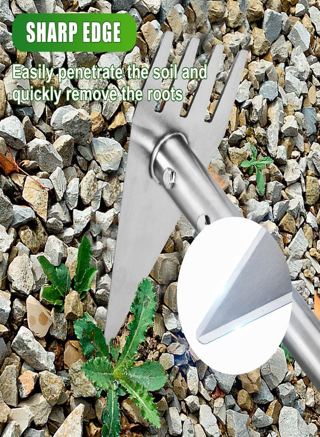 BARAYSTUS Dual Headed Hoe Garden Tool, 29.5"-57.7" Adjustable Long Handle Hoe Garden Tool, Stainless Steel Hoe Cultivator Gardening Tool, for Gardening Planting, Weeding, Digging, Loosening Soil - Image 4