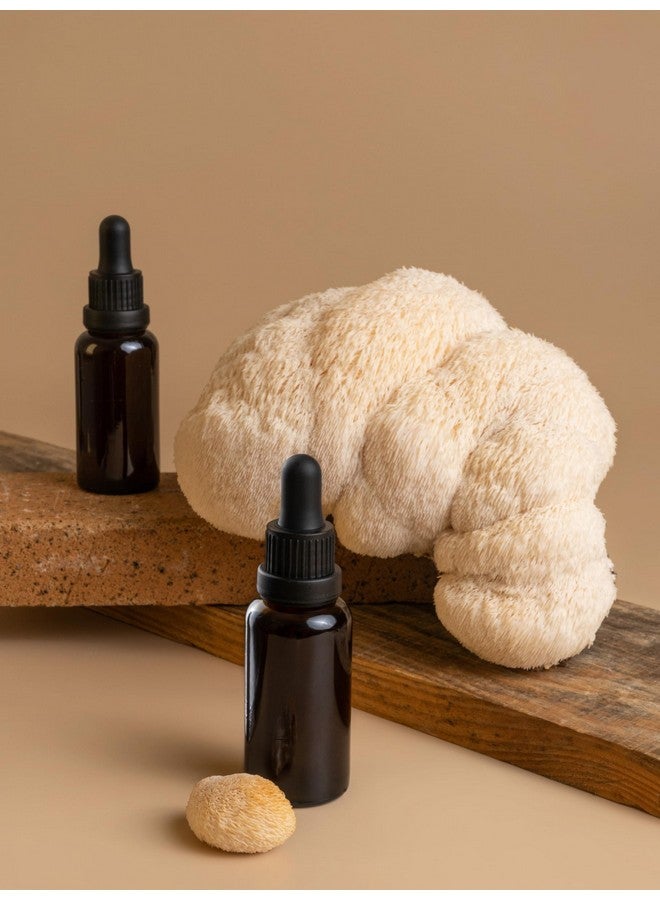 Freeze-Dried Lion's Mane Mushroom fruiting bodies Slices. Real Deal Large 25 Gram Jar. Great for tea or powder. Can be rehydrated and cooked or used as a herbal supplement. USDA organic. Excellent for Stamets Stack. No Refrigeration Required - Image 3