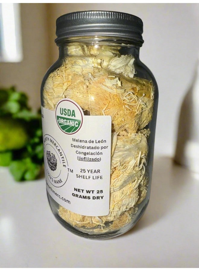Freeze-Dried Lion's Mane Mushroom fruiting bodies Slices. Real Deal Large 25 Gram Jar. Great for tea or powder. Can be rehydrated and cooked or used as a herbal supplement. USDA organic. Excellent for Stamets Stack. No Refrigeration Required - Image 4