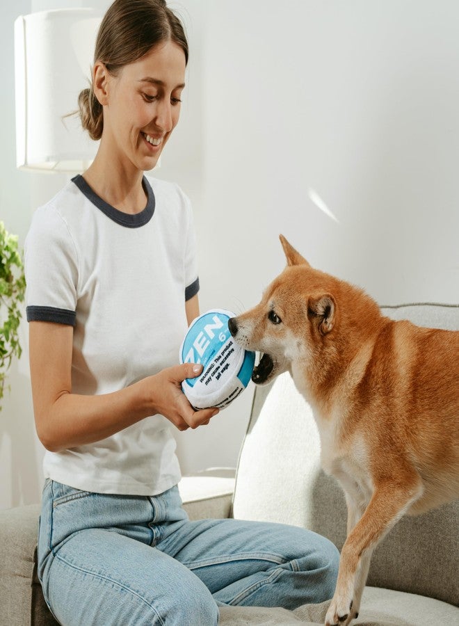Nestpark Zen Pupper Deckies Parody Dog Toy - Plush Squeaky and Crinkle Funny Dog Toy - Drool Mint - Image 3