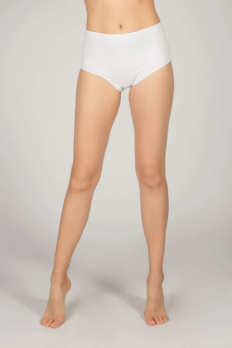 Hays Women's Cotton High Waist Panties