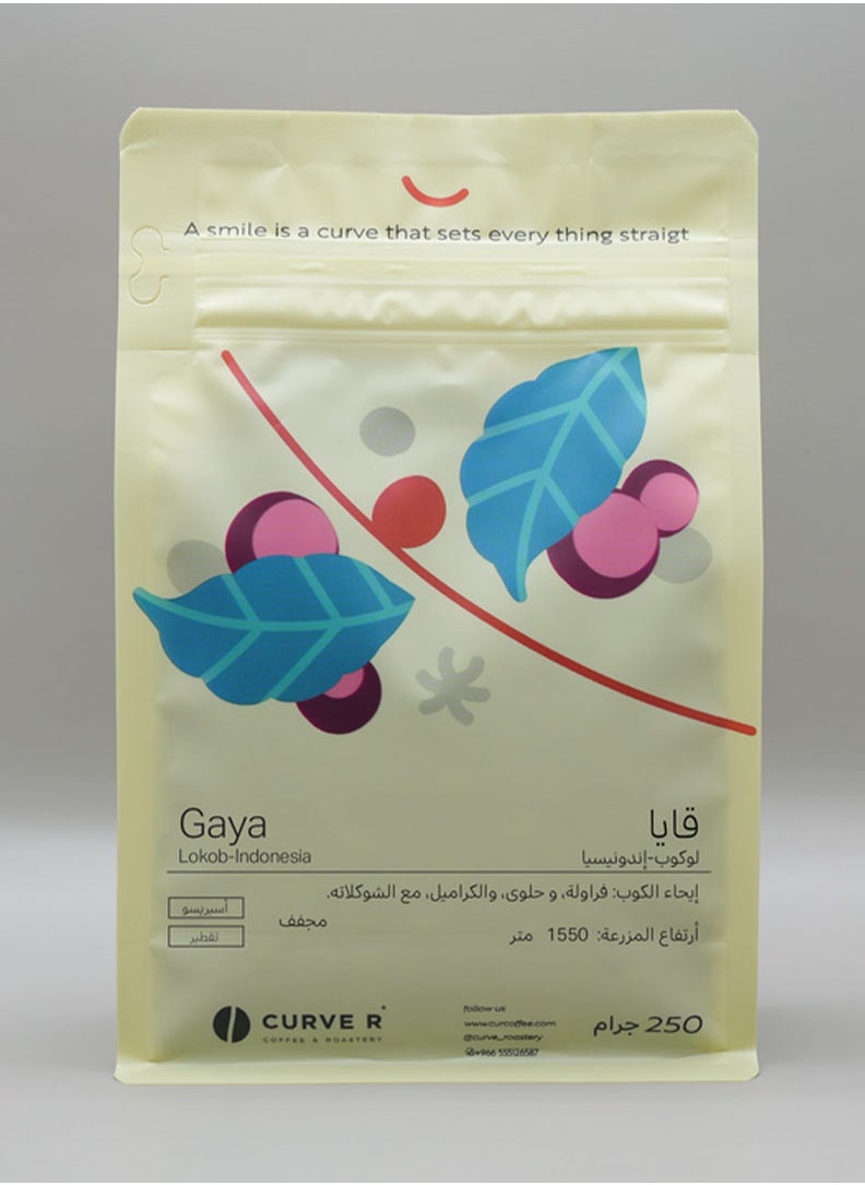 Curve COFFEE BEAN CURVE QIYA INDONESIA 250G Unground coffee beans for filter and espresso 
