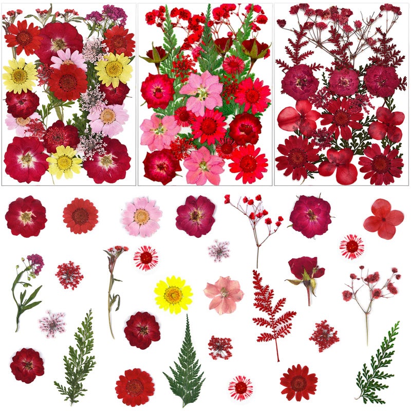 LUCISKY 75 Pcs Red Dried Flowers Real Natural Pressed Leave Petals for DIY Resin Candle Jewelry Nail Pendant Crafts
