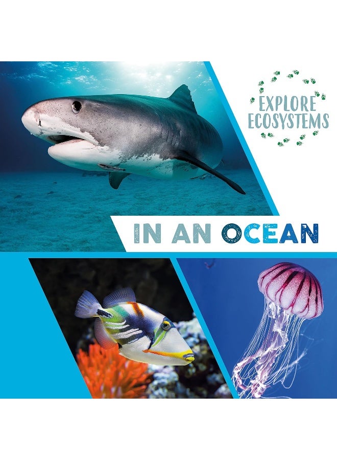 Explore Ecosystems: In an Ocean