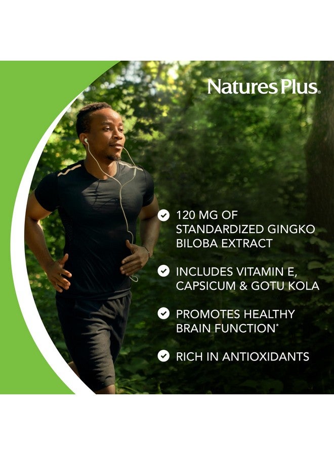 NaturesPlus نيتشرز بلس جينكو-كومبو - 120 ملغ، 60 كبسولة نباتية - جنكو بيلوبا - نباتي، خالي من الغلوتين - 60 حصة - Image 4