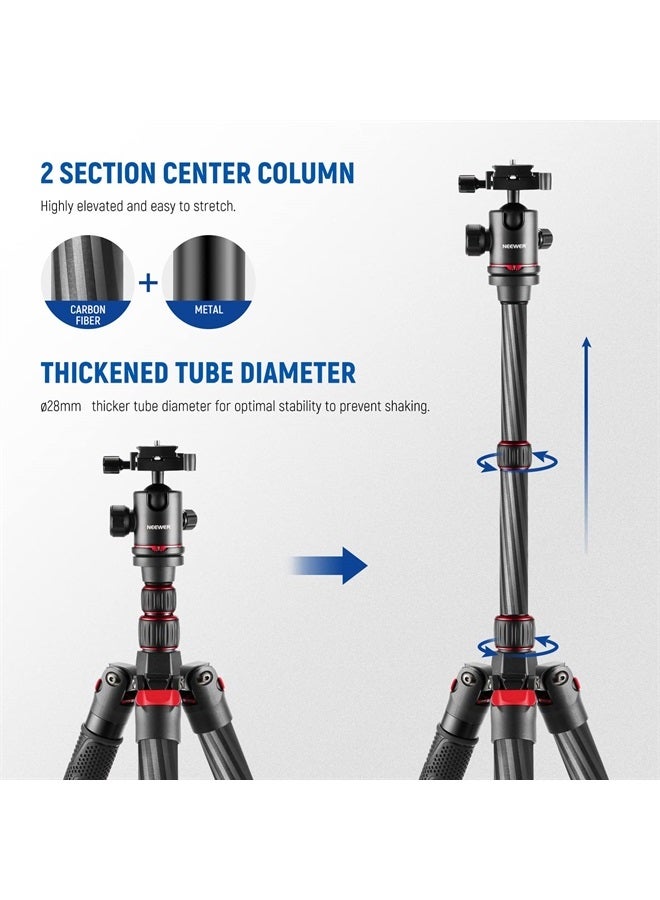NEEWER Upgraded 80.7" Carbon Fiber Camera Tripod Monopod with Telescopic 2 Section Center Axes, 360° Panorama Ballhead, Arca Type QR Plate, Compact Lightweight Travel Tripod Max Load 26.5lb, N55CR - Image 2