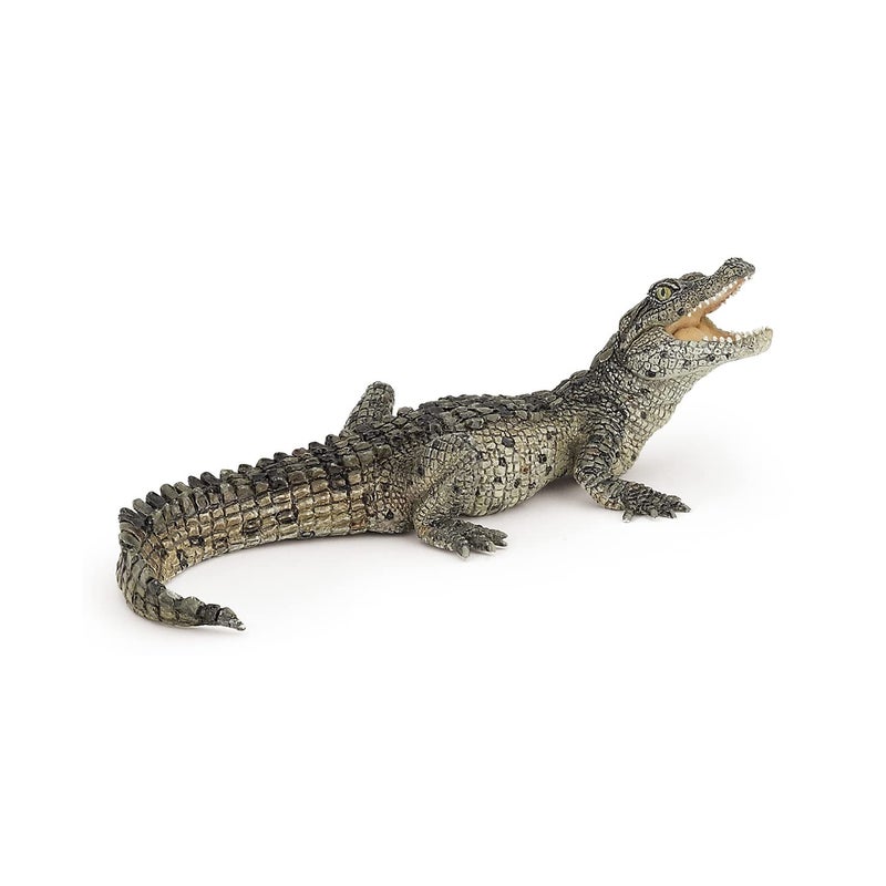 Papo Baby Crocodile Figure, Multicolor - Image 1