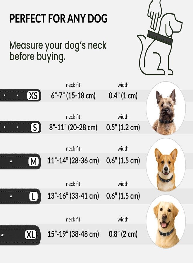 CollarDirect Reflective Rolled Leather Dog Collar, Padded, 6-7 in, Black - Image 5