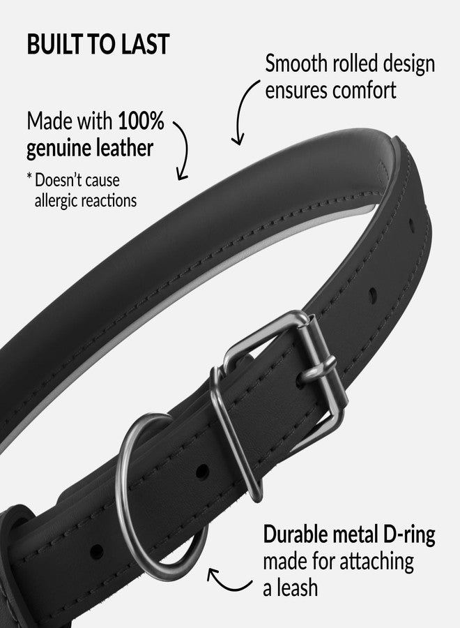 CollarDirect Reflective Rolled Leather Dog Collar, Padded, 6-7 in, Black - Image 3