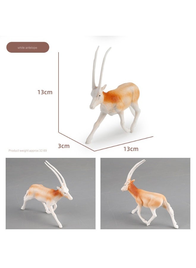 NIBEMINENT Cross-Border New Educational Simulation Forest Wild Animal Model Toys