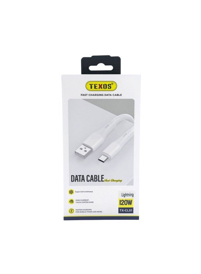 TEXOS 120W Fast Charging Data Cable TX-CL51, 1 Meter - Image 1