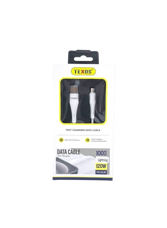 TEXOS 120W Fast Charging Data Cable TX-CL51, 1 Meter - Image 2