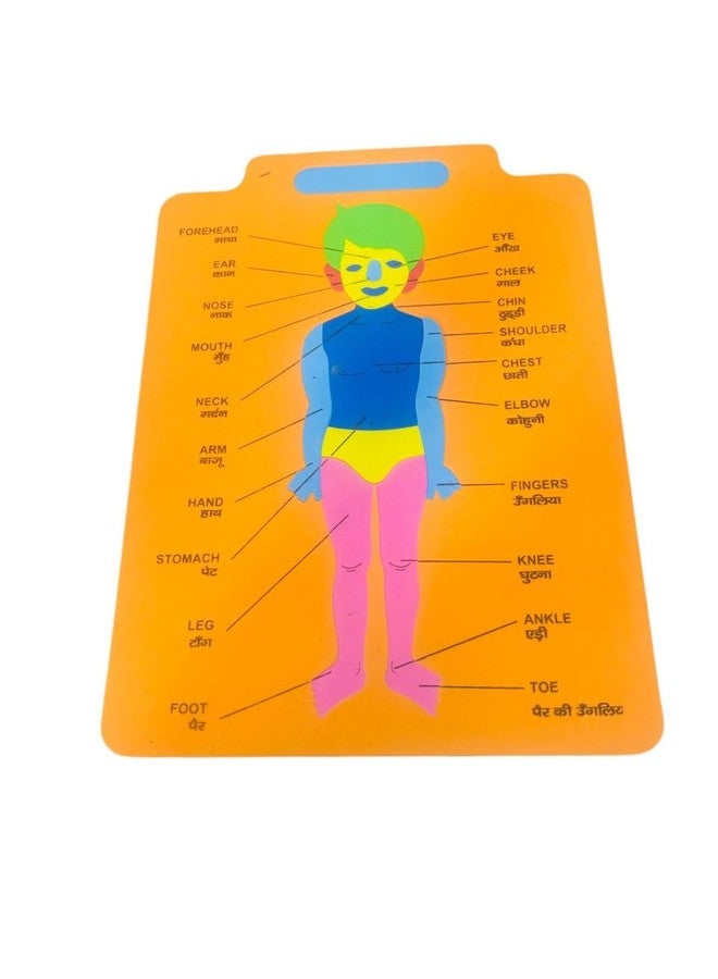 TJIKKO Educational and Engaging Eva Puzzle mat Designed for Kids. 10 mm Thick (Human Body) - Image 1