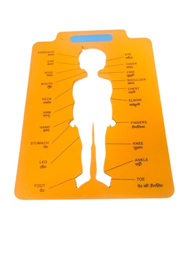 TJIKKO Educational and Engaging Eva Puzzle mat Designed for Kids. 10 mm Thick (Human Body) - Image 3