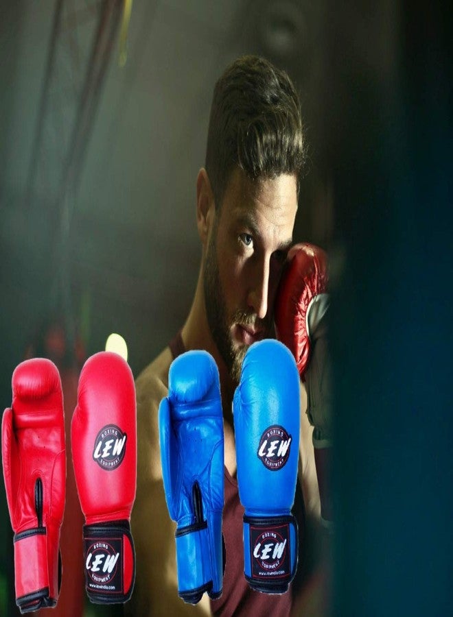 LEW Competition/Safe Pro Fight Boxing Gloves - Image 4
