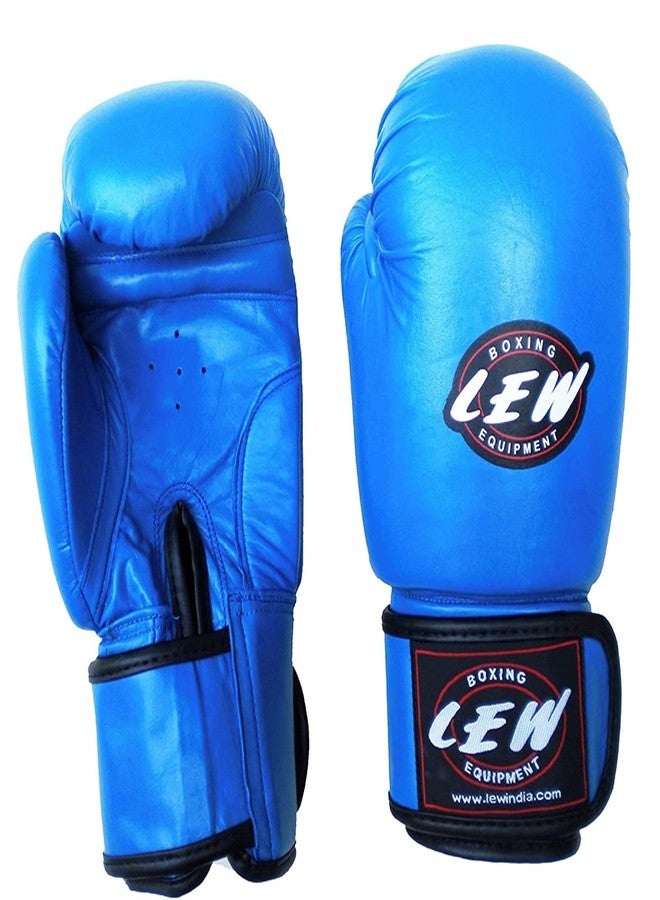 LEW Competition/Safe Pro Fight Boxing Gloves - Image 1