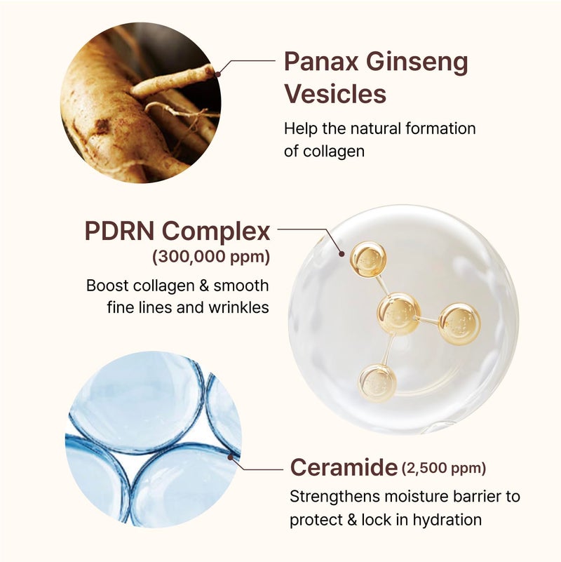 CENTELLIAN 24 أمبول تعزيز Firming Centellian 24 PDRN (1.01 أونصة سائلة) - تحسين مرونة البشرة من دونغكوك للأدوية. PDRN 300,000 جزء في المليون، كولاجين مهدرج وإيلاستين. - Image 5