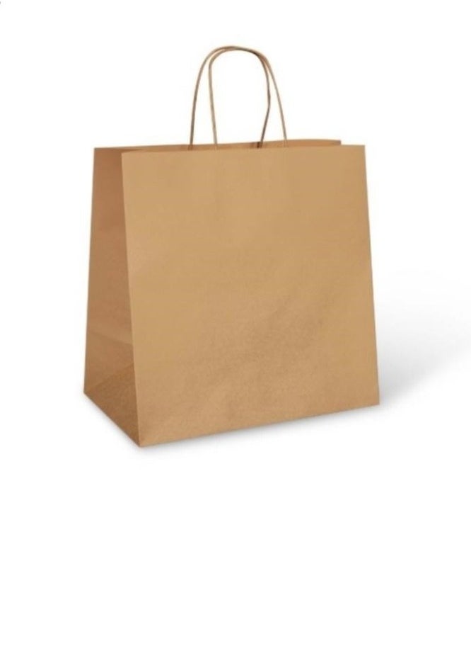 SKP Plastic Large brown paper bags (20 pieces) 