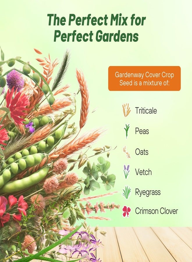 Outsidepride Gardenway Cover Crop Seeds - 10 lbs Nutrient-Rich Seed Mix for Soil Health Improvement & Home Gardens - Mixture of Triticale, Peas, Oats, Vetch, Annual Ryegrass, Crimson Clover - Image 3