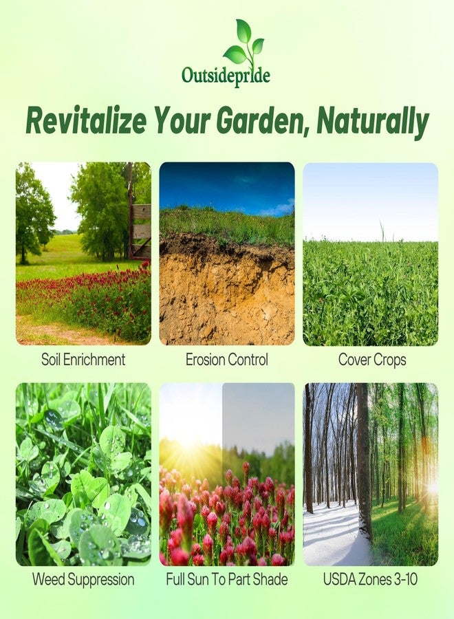 Outsidepride Gardenway Cover Crop Seeds - 10 lbs Nutrient-Rich Seed Mix for Soil Health Improvement & Home Gardens - Mixture of Triticale, Peas, Oats, Vetch, Annual Ryegrass, Crimson Clover - Image 2