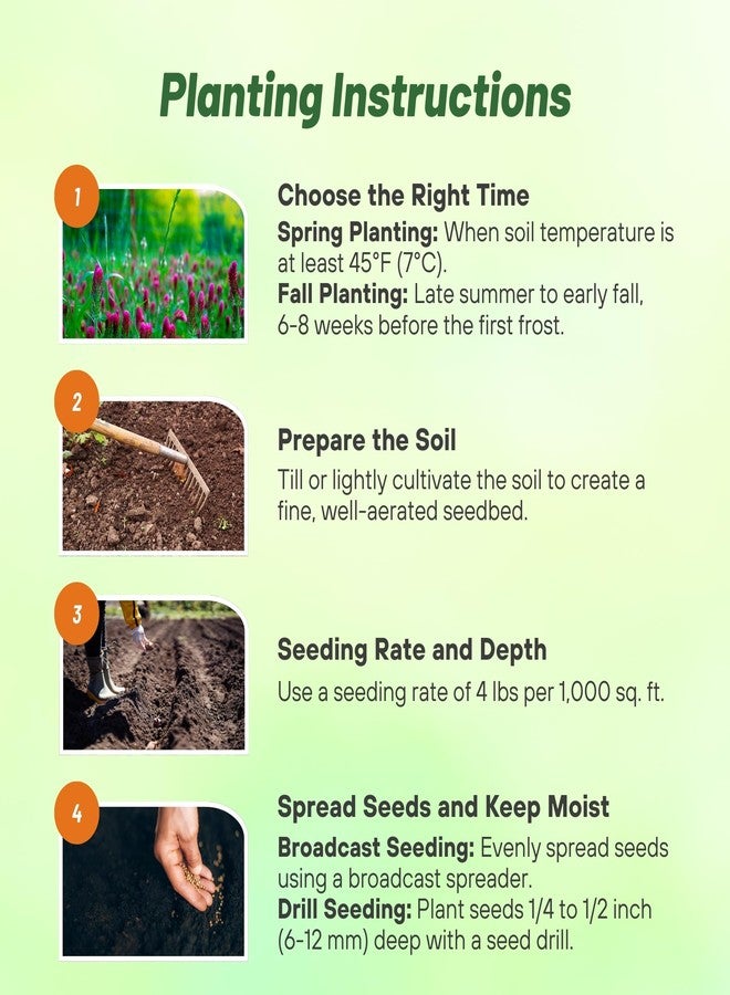 Outsidepride Gardenway Cover Crop Seeds - 10 lbs Nutrient-Rich Seed Mix for Soil Health Improvement & Home Gardens - Mixture of Triticale, Peas, Oats, Vetch, Annual Ryegrass, Crimson Clover - Image 5