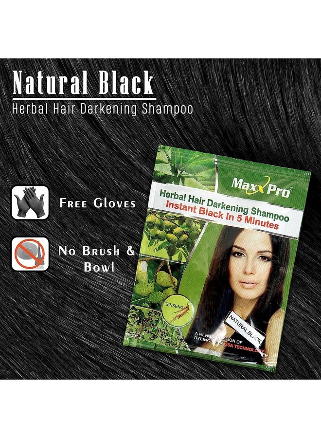 MAXXPRO High Darkening Shine Hair Dye Shampoo Black Color Natural for Men & Women with 100% Coverage & Long Lasting (Pack of 10) - Image 4