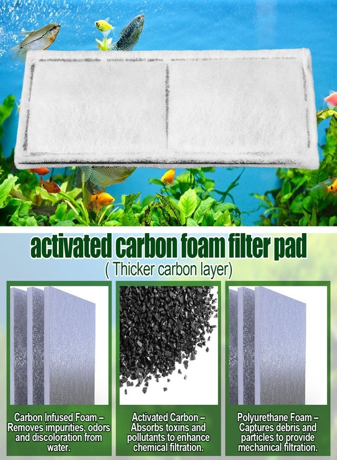 Pangda 12 Pcs Carbon Filter Foam Pads and Foam Filters Compatible with U3 Range of Internal Underwater Sponge Aquarium Underwater Filter Accessories for Internal Replacement Aquarium Fish Tank - Image 3