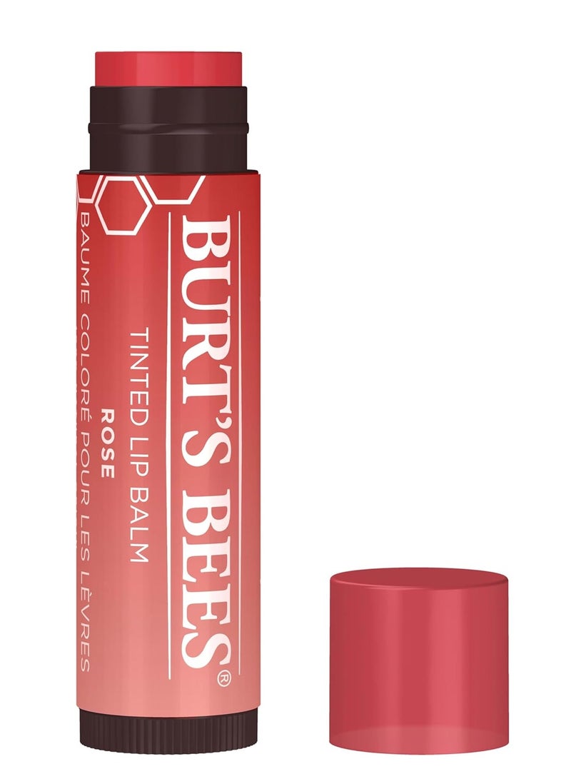 بيرتس بيز بلسم ملون يدوم طويلاً 2 في 1 بلسم ثنائي ملون - Image 1