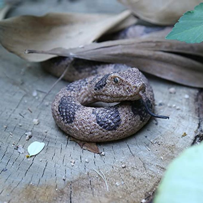 Sienon Realistic Fake Snakes Toy Soft Rubber Snake Figure Garden Scare Birds and Squirrels, Rattlesnake Toy Figurines Stress Relief Gag Toys Halloween Decoration Party Favors Prank Props - Image 2