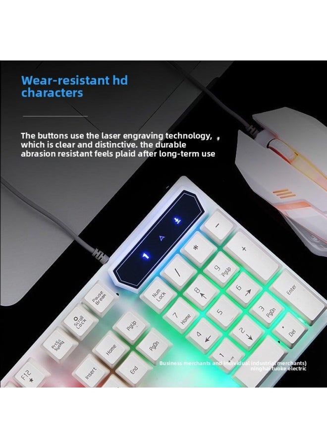 Generic - Mechanical Feel Keyboard Mouse Suit Wired Desktop Computer Notebook Game E-sports Typing Dedicated USB-Color:Mechanical Feel - 1 Year Warranty - White Colorful Rainbow - Single Keyboard - No - 104 Keys - Official Standard - Image 1
