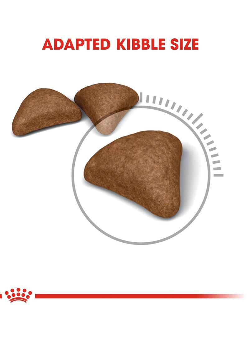 Royal Canin Hairball Care Dry Cat Food – Complete Nutrition for Hairball Control in Adult Cats 400g - Image 4