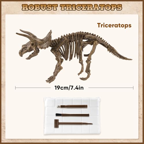 VIBIRIT Dig Up Dinosaurs Skeleton SetDinosaur Digging Fossil Kit Model ToysExcavation Kits for kids512yearEducational Realistic Toys for KidsBoysGirls - Image 5