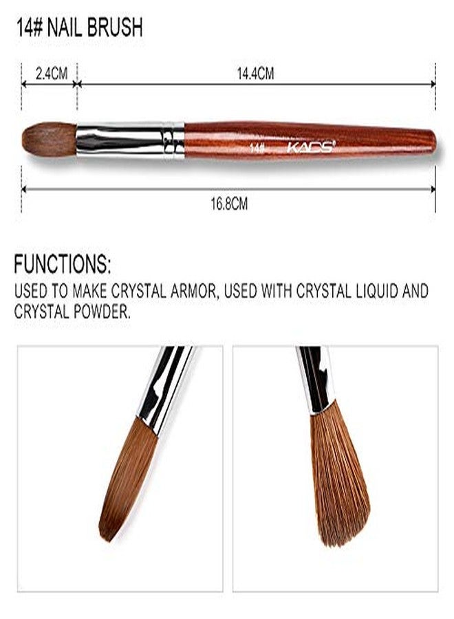 KADS 4Pcs Kolinsky Acrylic Nail Bursh Set 12# 14# 16# 18# for Acrylic Nails Painting Design Art Painting - Image 4