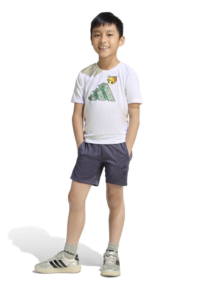 Adidas Minecraft Training Summer Set - Image 1