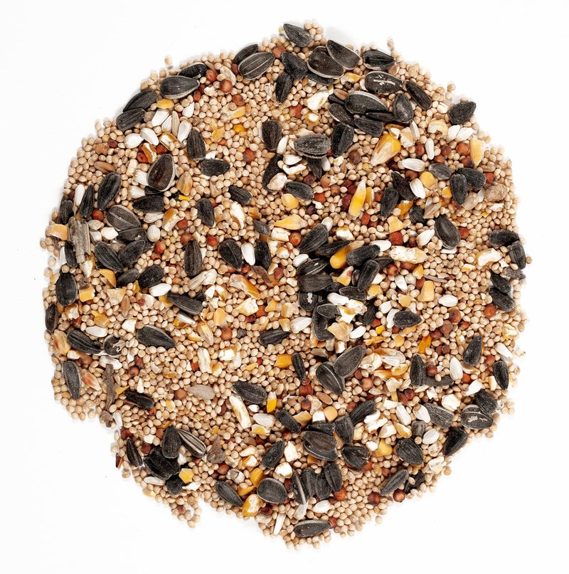 Wagner's 62008 Western Regional Blend Wild Bird Food, 20-Pound Bag - Image 3