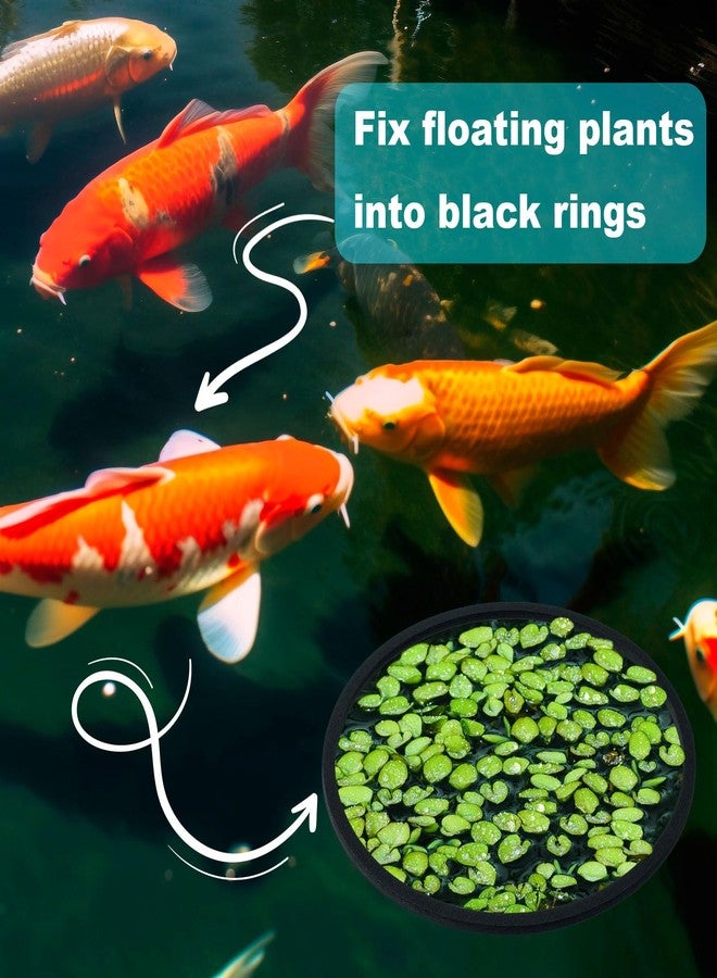 OIIKI 10 PCS Fish Feeding Rings Sets, Floating Aquarium Plant Corral, Floating Plant Rings, Oval and Square Fish Feeding Rings, Fish Tank Aquarium Accessories for Fish Tank, Floating Plants - Black - Image 4