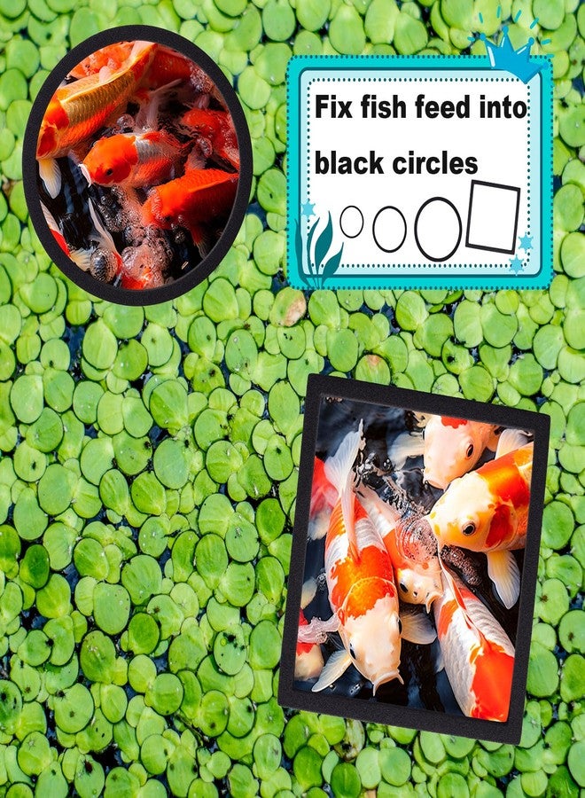OIIKI 10 PCS Fish Feeding Rings Sets, Floating Aquarium Plant Corral, Floating Plant Rings, Oval and Square Fish Feeding Rings, Fish Tank Aquarium Accessories for Fish Tank, Floating Plants - Black - Image 3