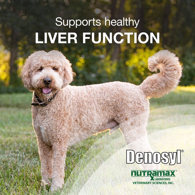 Nutramax Laboratories Denosyl Liver and Brain Health Supplement for Large Dogs, With S-Adenosylmethionine (SAMe), 30 Tablets - Image 2