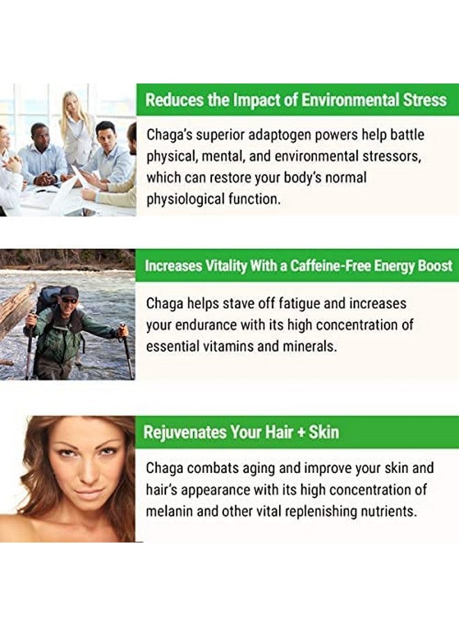 Sayan Siberian Pure Raw Coarse Chaga Powder 4 Oz / 113g - Premium Wild Forest Harvested Super Antioxidant Tea - Supports Immune System and Digestive Health - Focus, Energy, Clarity, Wellness - Non-GMO - Image 4