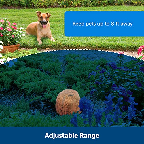 PetSafe Pawz Away Outdoor Wireless Pet Barrier, Electric Training System for Cats and Dogs with Receiver Collar - Image 3