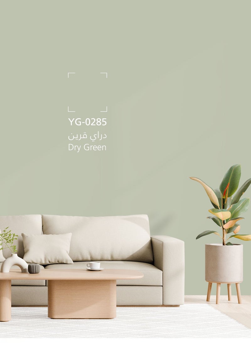 Jazeera Paints Jazetal Interior Walls Paints Gloss (Color:Dry Green) 3L - Image 3