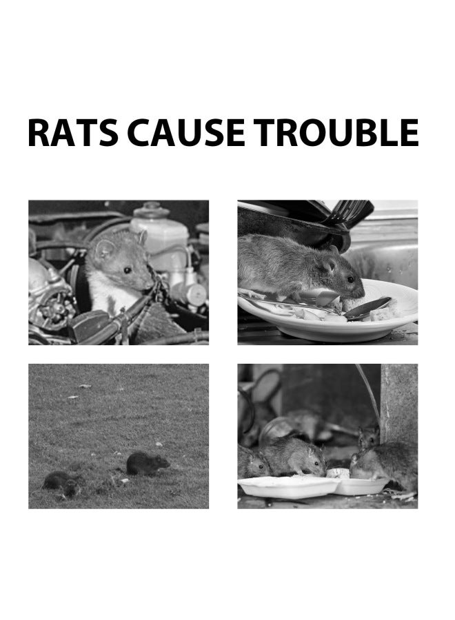MOONSPRY Rat Repellent Paste Outdoor Home Indoor Rat Repellent Engine Rat Repellent Household Protection - Image 3