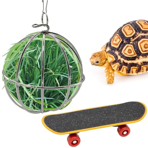 Niuohoy Tortoise Treat Ball and Mini Turtle Skateboard Set Training Skateboard Toy Tortoise Treat Ball Hanging Feeding Turtle Tank Accessories for Pet Turtle Tortoises Small Animals - Image 1