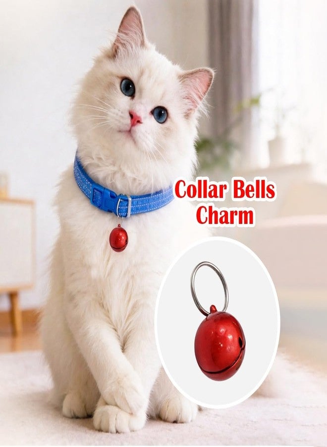 PET FUN جرس دائري لامع لطوق الحيوانات الأليفة - جرس تدريب معدني عالي الصوت للكلاب والقطط - إكسسوار متين لطوق الحيوانات الأليفة للتدريب والسلامة والزينة، مجموعة من 6 قطع بألوان عشوائية (25 مم) - Image 5