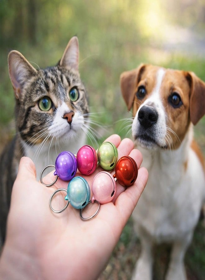 PET FUN جرس دائري لامع لطوق الحيوانات الأليفة - جرس تدريب معدني عالي الصوت للكلاب والقطط - إكسسوار متين لطوق الحيوانات الأليفة للتدريب والسلامة والزينة، مجموعة من 6 قطع بألوان عشوائية (25 مم) - Image 4